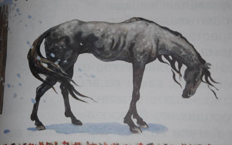 Иллюстрация 30 из 32 для Слепая лошадь - Константин Ушинский | Лабиринт - книги. Источник: МаRUSя