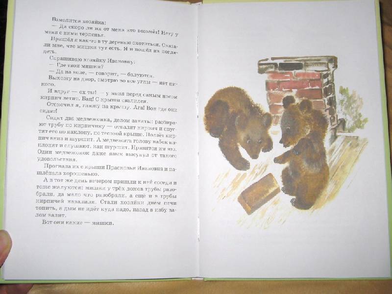 Иллюстрация 18 из 62 для Тюпа, Томка и сорока - Евгений Чарушин | Лабиринт - книги. Источник: Читательница