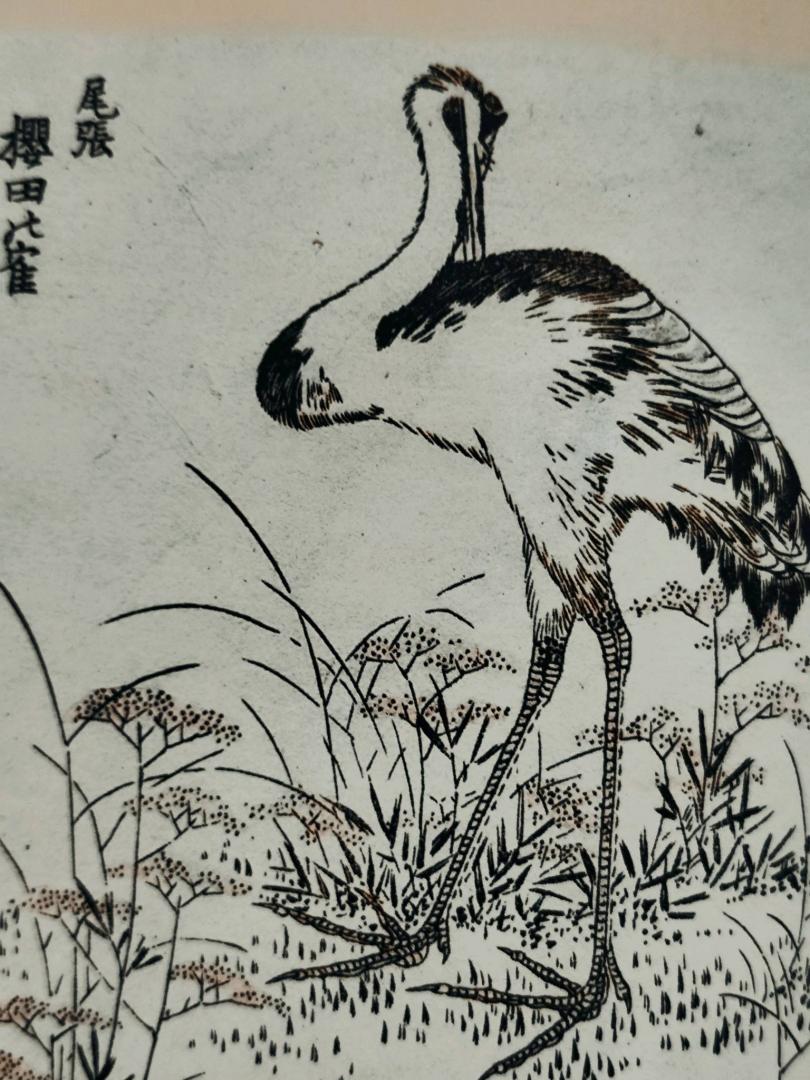 Иллюстрация 63 из 64 для Журавлиные перья. Японские народные сказки | Лабиринт - книги. Источник: Абушаева Наталья