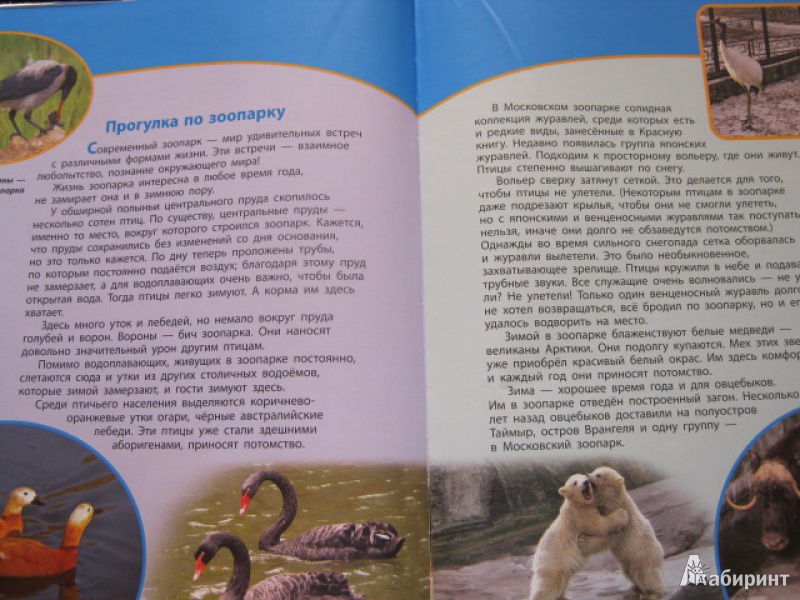 Иллюстрация 4 из 8 для Зоопарки - Дроздов, Макеев | Лабиринт - книги. Источник: Евгения39
