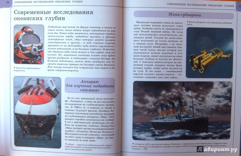 Иллюстрация 23 из 23 для Подводный мир - Анна Спектор | Лабиринт - книги. Источник: Соловьев  Владимир
