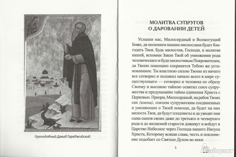 Иллюстрация 3 из 11 для 33 православные молитвы о благополучном зачатии, беременности и родах - Елена Елецкая | Лабиринт - книги. Источник: Granatka