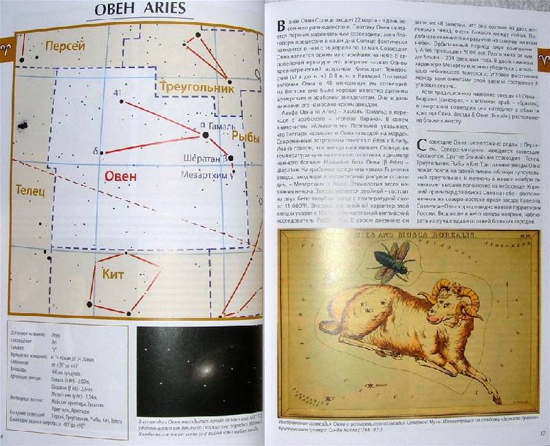 Иллюстрация 14 из 19 для Все о знаках зодиака | Лабиринт - книги. Источник: Rocio