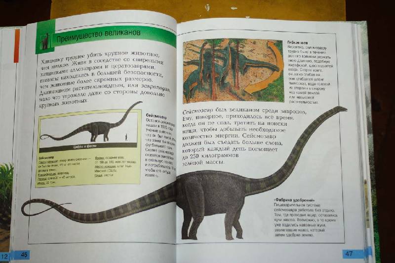 Иллюстрация 7 из 12 для Самые удивительные динозавры (серая) - Дугал Диксон | Лабиринт - книги. Источник: вера_о