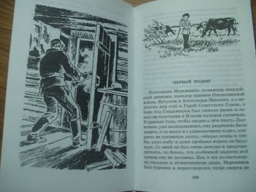 Иллюстрация 16 из 17 для Честное слово - Леонид Пантелеев | Лабиринт - книги. Источник: Galia