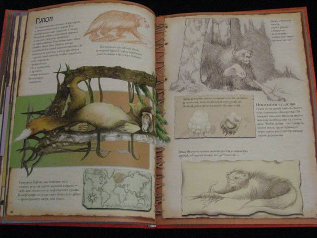 Иллюстрация 35 из 39 для Мифические существа - Сантис Де | Лабиринт - книги. Источник: Nemertona
