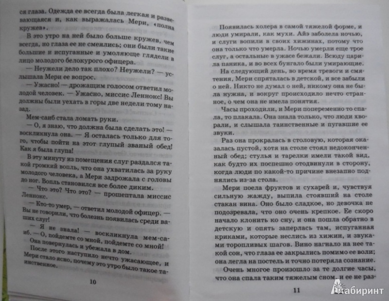 Иллюстрация 6 из 13 для Таинственный сад. Маленький лорд Фаунтлерой. Маленькая принцесса. Приключения Сары Кру - Фрэнсис Бёрнетт | Лабиринт - книги. Источник: Большой любитель книг