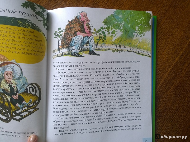 Иллюстрация 21 из 25 для Грибабушка, или Немножко колдовства - Андрей Зинчук | Лабиринт - книги. Источник: jacaranda