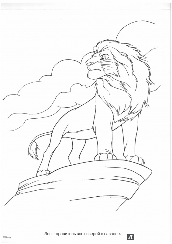 Иллюстрация 1 из 15 для Волшебная раскраска. Король Лев (№15014) | Лабиринт - книги. Источник: Lechman@list.ru