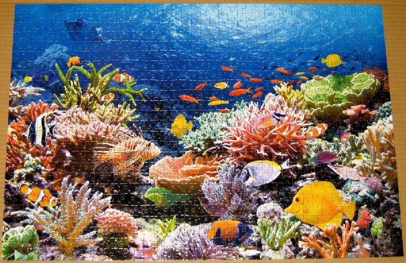 Иллюстрация 3 из 24 для Puzzle-1000 Коралловый риф | Лабиринт - игрушки. Источник: Губяткин  Павел Владимирович