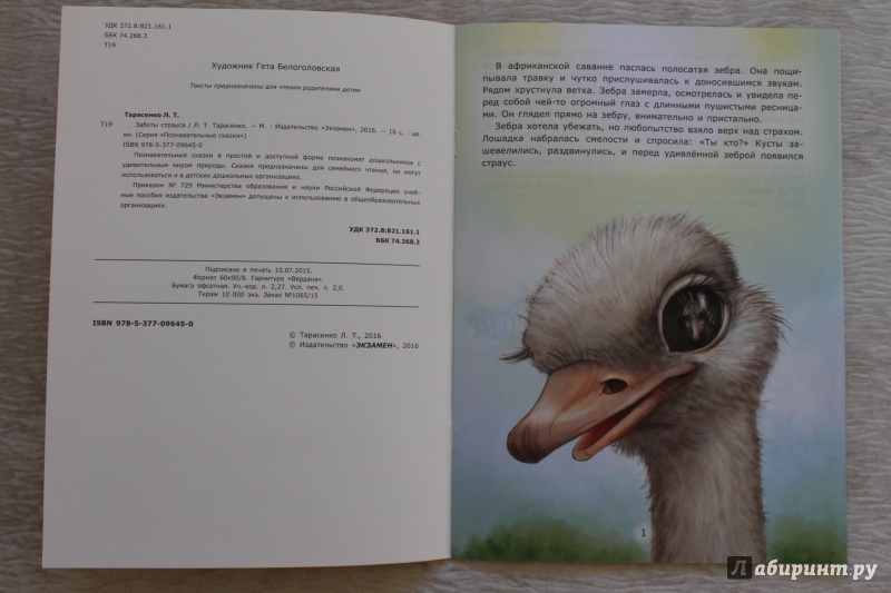 Иллюстрация 23 из 31 для Заботы страуса - Лариса Тарасенко | Лабиринт - книги. Источник: По страницам детских книг