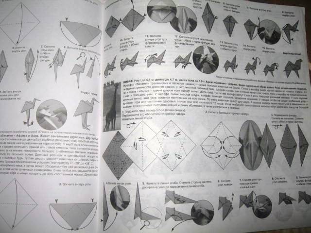 Иллюстрация 16 из 19 для АБ 11-301 Африка (оригами) | Лабиринт - игрушки. Источник: Алена