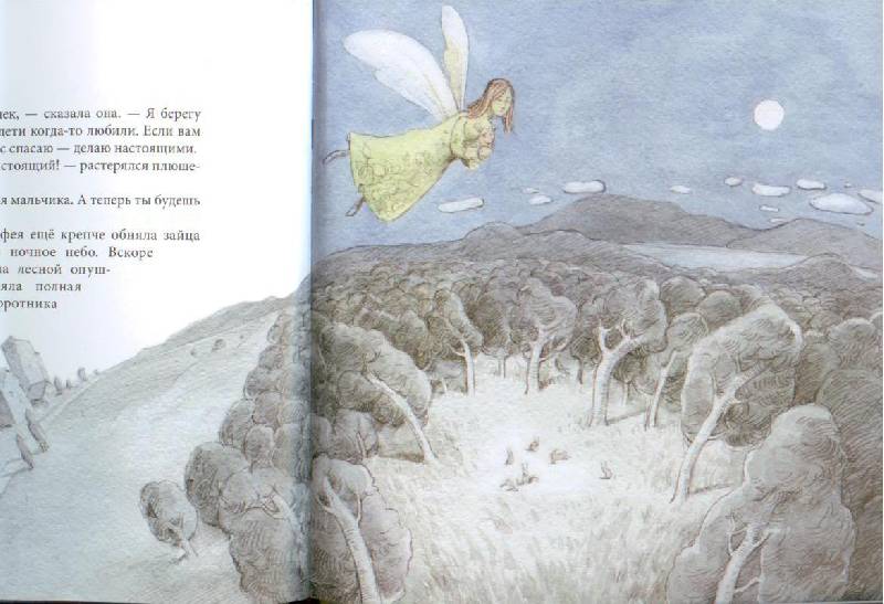Иллюстрация 54 из 62 для Плюшевый заяц, или Как игрушки становятся настоящими - Марджери Уильямс | Лабиринт - книги. Источник: Осьминожка