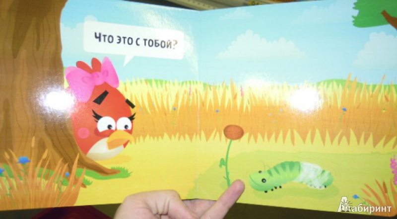 Иллюстрация 3 из 12 для Angry Birds. Чудо | Лабиринт - книги. Источник: Iwolga