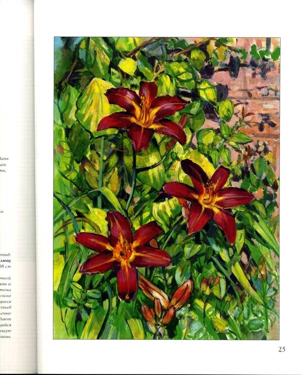 Иллюстрация 5 из 12 для Рисуем цветы акриловыми красками - Кэрол Месси | Лабиринт - книги. Источник: * Ольга *