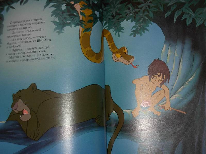 Иллюстрация 1 из 10 для Книга джунглей | Лабиринт - книги. Источник: ---Ирина----