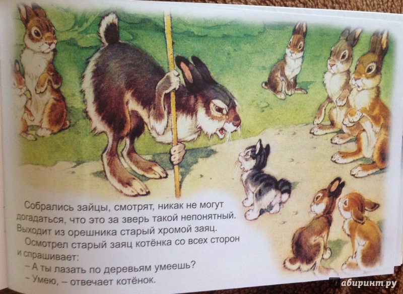 Иллюстрация 41 из 43 для Упрямый котёнок - Иван Белышев | Лабиринт - книги. Источник: Лабиринт
