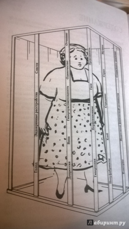 Иллюстрация 2 из 11 для Сова была раньше дочкой пекаря: Ожирение, нервная анорексия и подавленная женственность - Марион Вудман | Лабиринт - книги. Источник: Ведина
