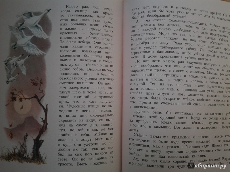 Иллюстрация 31 из 51 для Сказки - Ганс Андерсен | Лабиринт - книги. Источник: Olga