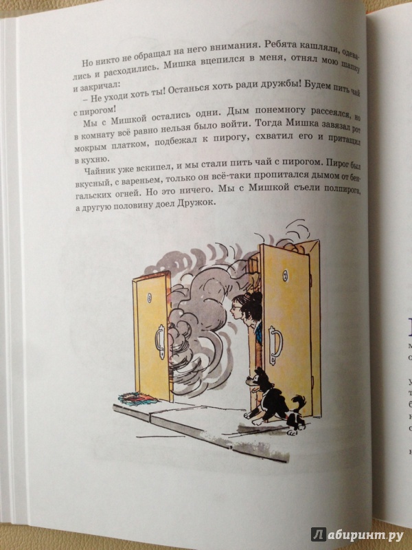 Иллюстрация 28 из 34 для Весёлые рассказы - Николай Носов | Лабиринт - книги. Источник: antonnnn