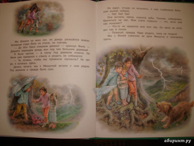 Иллюстрация 15 из 45 для Маруся - подружка всех зверят. В лесу. В деревне - Делаэ, Марлье | Лабиринт - книги. Источник: Сорокина  Лариса