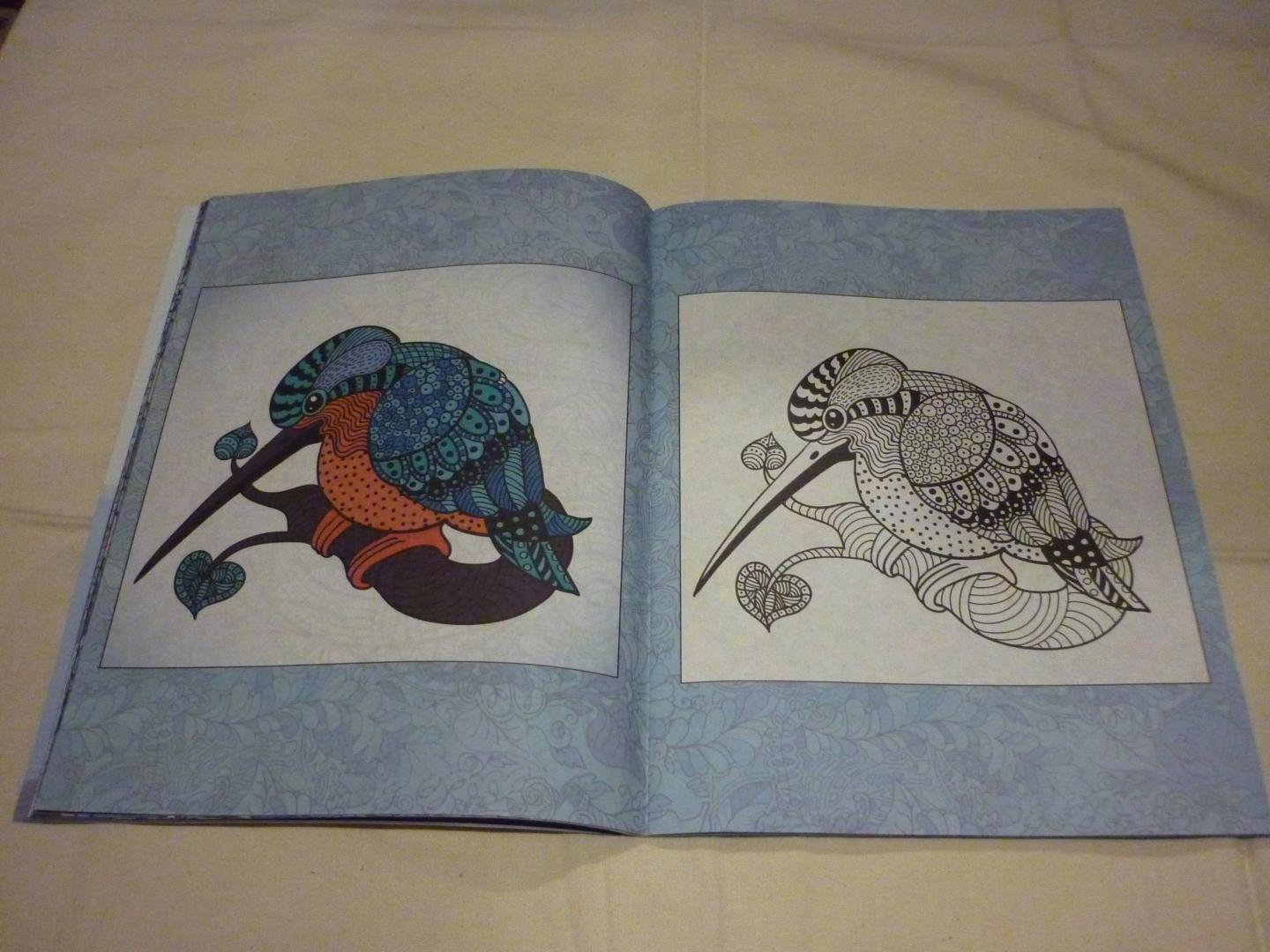 Иллюстрация 41 из 43 для Бирюзовая сказка. Раскраска для взрослых | Лабиринт - книги. Источник: Лабиринт