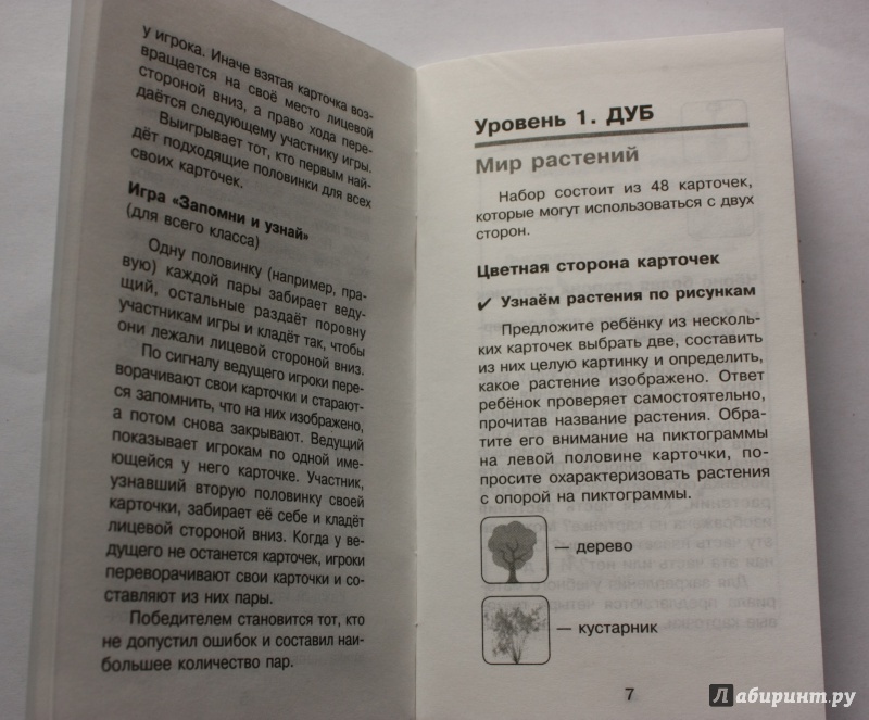 Иллюстрация 12 из 20 для Комплект занимательных карточек по окружающему миру с методичкой - Елена Гончарова | Лабиринт - книги. Источник: Воробышек