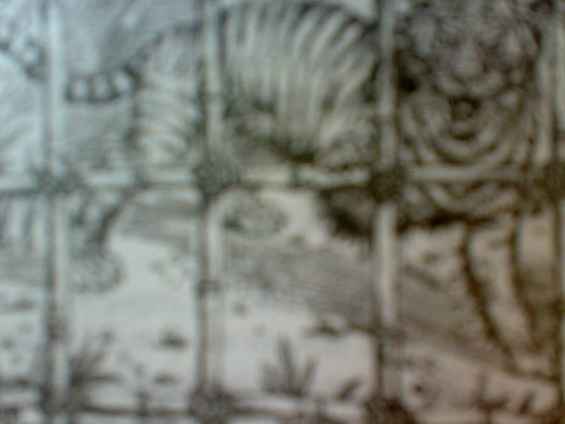 Иллюстрация 6 из 7 для Хозяева джунглей: Рассказы о тиграх и слонах | Лабиринт - книги. Источник: Юлия7