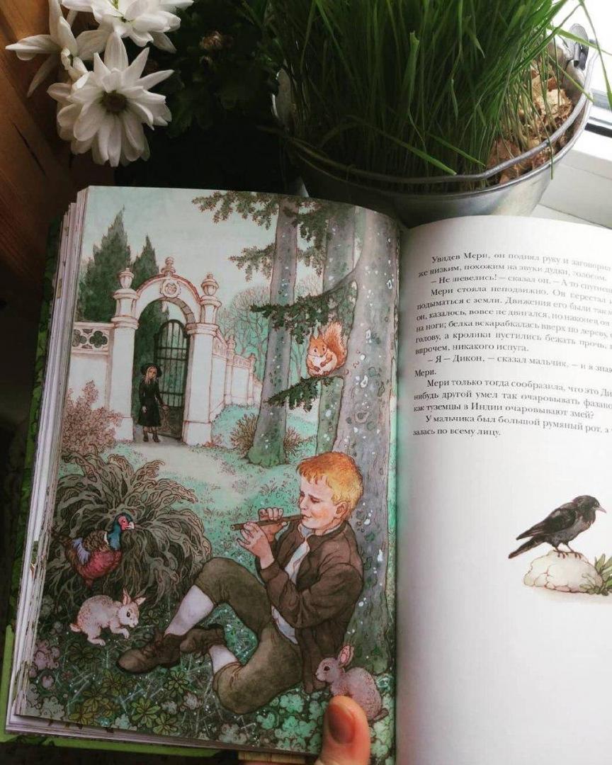 Иллюстрация 62 из 64 для Таинственный сад - Фрэнсис Бёрнетт | Лабиринт - книги. Источник: Отзывы читателей