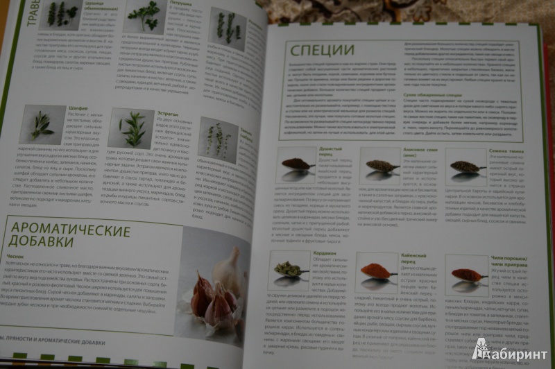 Иллюстрация 15 из 29 для Классическая кулинарная книга | Лабиринт - книги. Источник: Кабанова  Ксения Викторовна