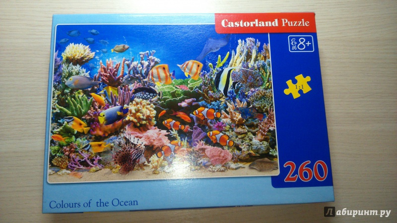 Иллюстрация 8 из 18 для Puzzle-260 MIDI "Цвета океана" (B-27279) | Лабиринт - игрушки. Источник: Star!