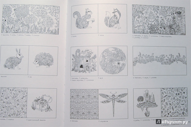 Иллюстрация 23 из 68 для Зачарованный лес - Джоанна Бэсфорд | Лабиринт - книги. Источник: mangust