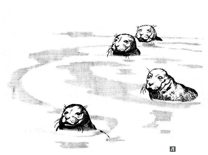 Иллюстрация 10 из 53 для Необыкновенный заплыв - Николай Рыжих | Лабиринт - книги. Источник: Евстратовы  Ва