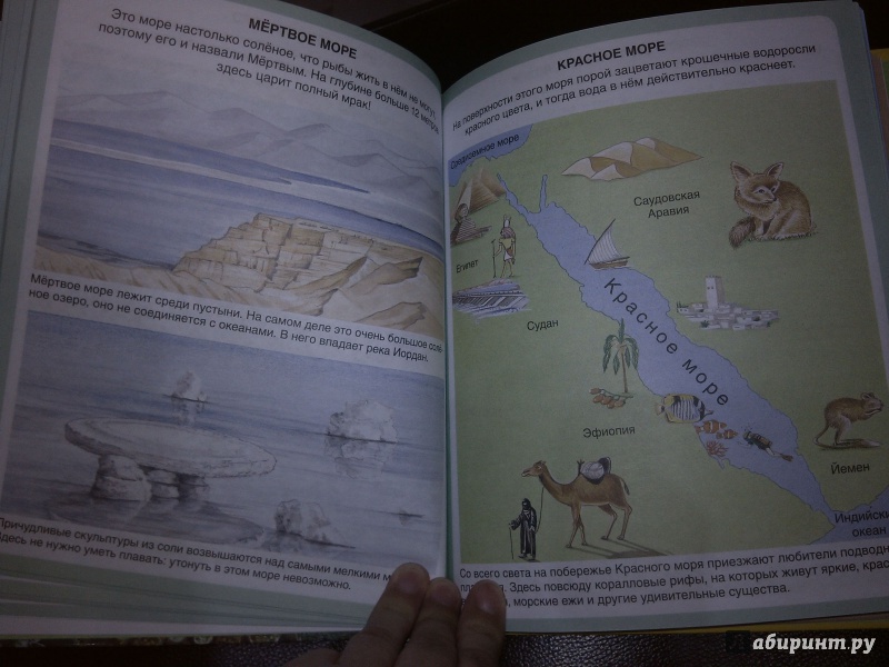 Иллюстрация 20 из 45 для Тайны моря | Лабиринт - книги. Источник: Lirika777
