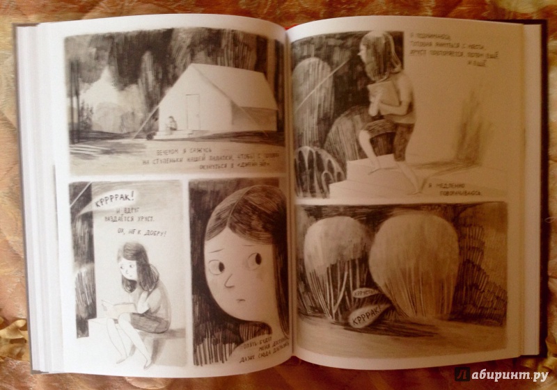 Иллюстрация 28 из 50 для Джейн, лиса и я - Фанни Бритт | Лабиринт - книги. Источник: Псевдоним