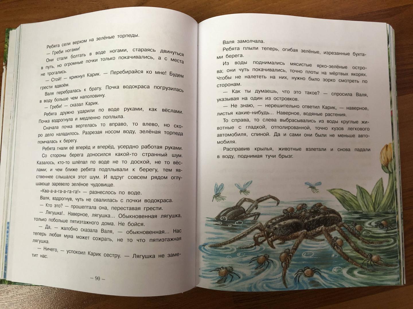 Иллюстрация 67 из 95 для Необыкновенные приключения Карика и Вали - Ян Ларри | Лабиринт - книги. Источник: ДинаЛана