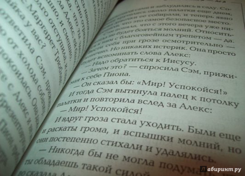 Иллюстрация 6 из 18 для Этим летом я - не я - Джин Литтл | Лабиринт - книги. Источник: very_nadegata