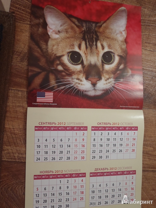 Иллюстрация 3 из 8 для Календарь 2013 "Кошки мира" (70319) | Лабиринт - сувениры. Источник: Тесла