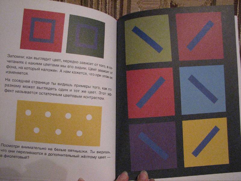 Иллюстрация 27 из 27 для Цветные загадки: веселые игры и красочные эксперименты - Анн Форслинд | Лабиринт - книги. Источник: Капустин  Николай