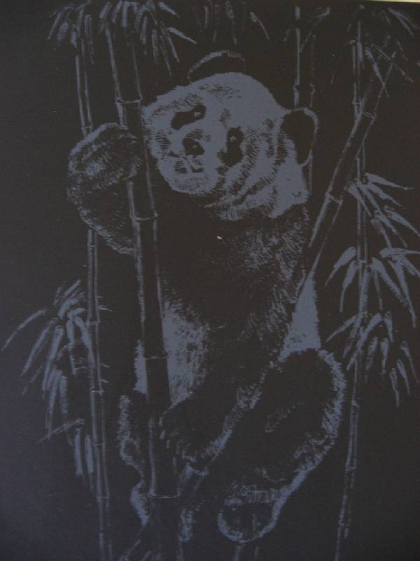 Иллюстрация 6 из 7 для Гравюра: Жизнь животных. Панда | Лабиринт - игрушки. Источник: Юта