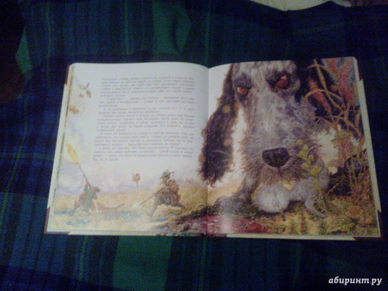 Иллюстрация 47 из 67 для Сказки - Ханс Андерсен | Лабиринт - книги. Источник: Доронина  Елена Юрьевна