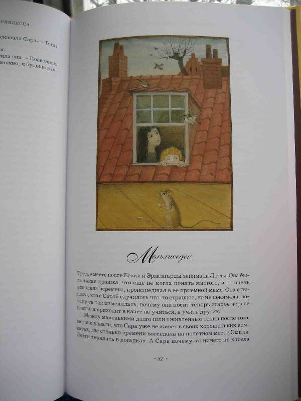 Иллюстрация 14 из 51 для Маленькая принцесса - Фрэнсис Бёрнетт | Лабиринт - книги. Источник: Трухина Ирина