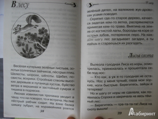Иллюстрация 7 из 28 для Разговоры животных - Николай Сладков | Лабиринт - книги. Источник: tanechka-ka