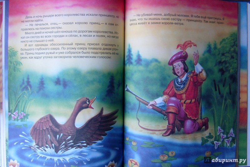 Иллюстрация 19 из 40 для Сказки для маленьких принцесс | Лабиринт - книги. Источник: Александр Сколдин