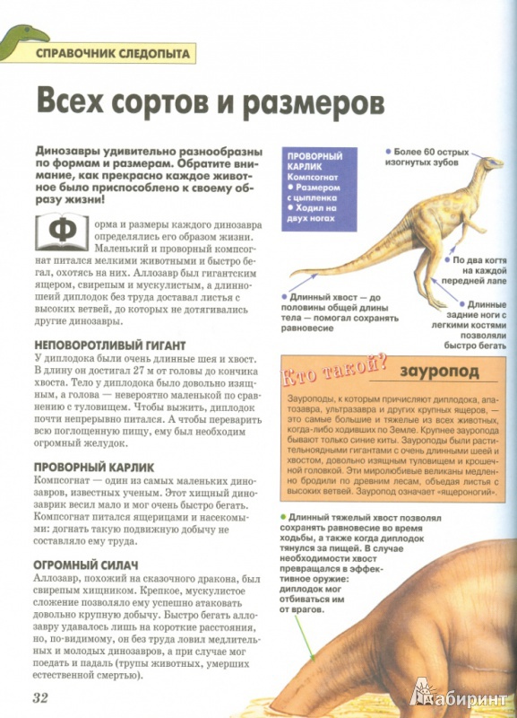 Иллюстрация 7 из 12 для Динозавры | Лабиринт - книги. Источник: Телицына  Ольга