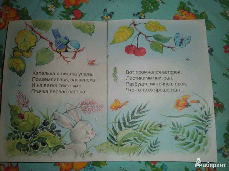 Иллюстрация 3 из 7 для Утро - Людмила Белина | Лабиринт - книги. Источник: Ека74