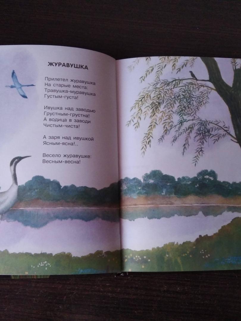 Иллюстрация 48 из 68 для Травушка-муравушка - Елена Благинина | Лабиринт - книги. Источник: Лабиринт