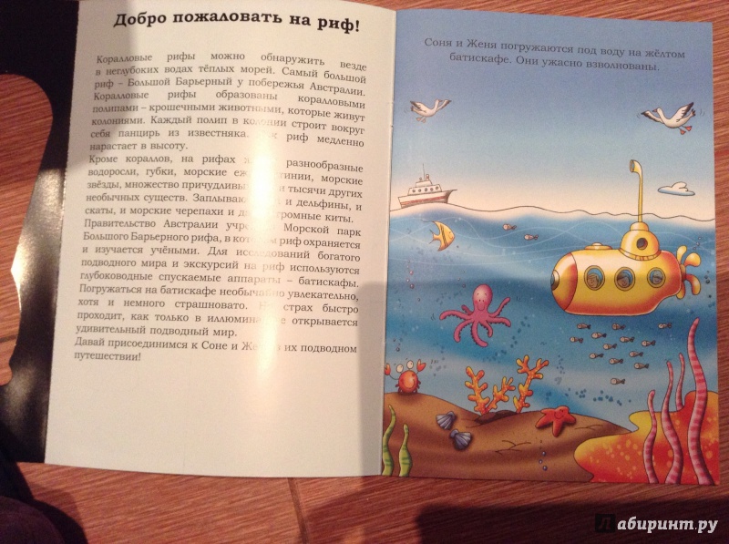 Иллюстрация 2 из 14 для Найди нас! Подводный мир | Лабиринт - книги. Источник: Липатова  Наталия