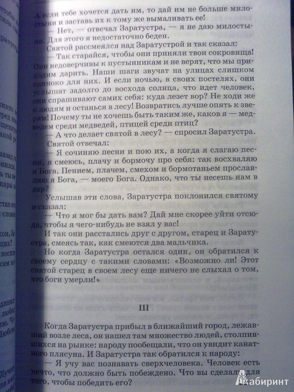 Иллюстрация 9 из 38 для Так говорил Заратустра. По ту сторону добра и зла - Фридрих Ницше | Лабиринт - книги. Источник: Юлия