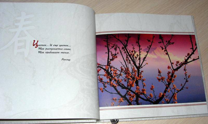 Иллюстрация 12 из 30 для Япония. Снег. Луна. Цветы...: сборник | Лабиринт - книги. Источник: Rocio